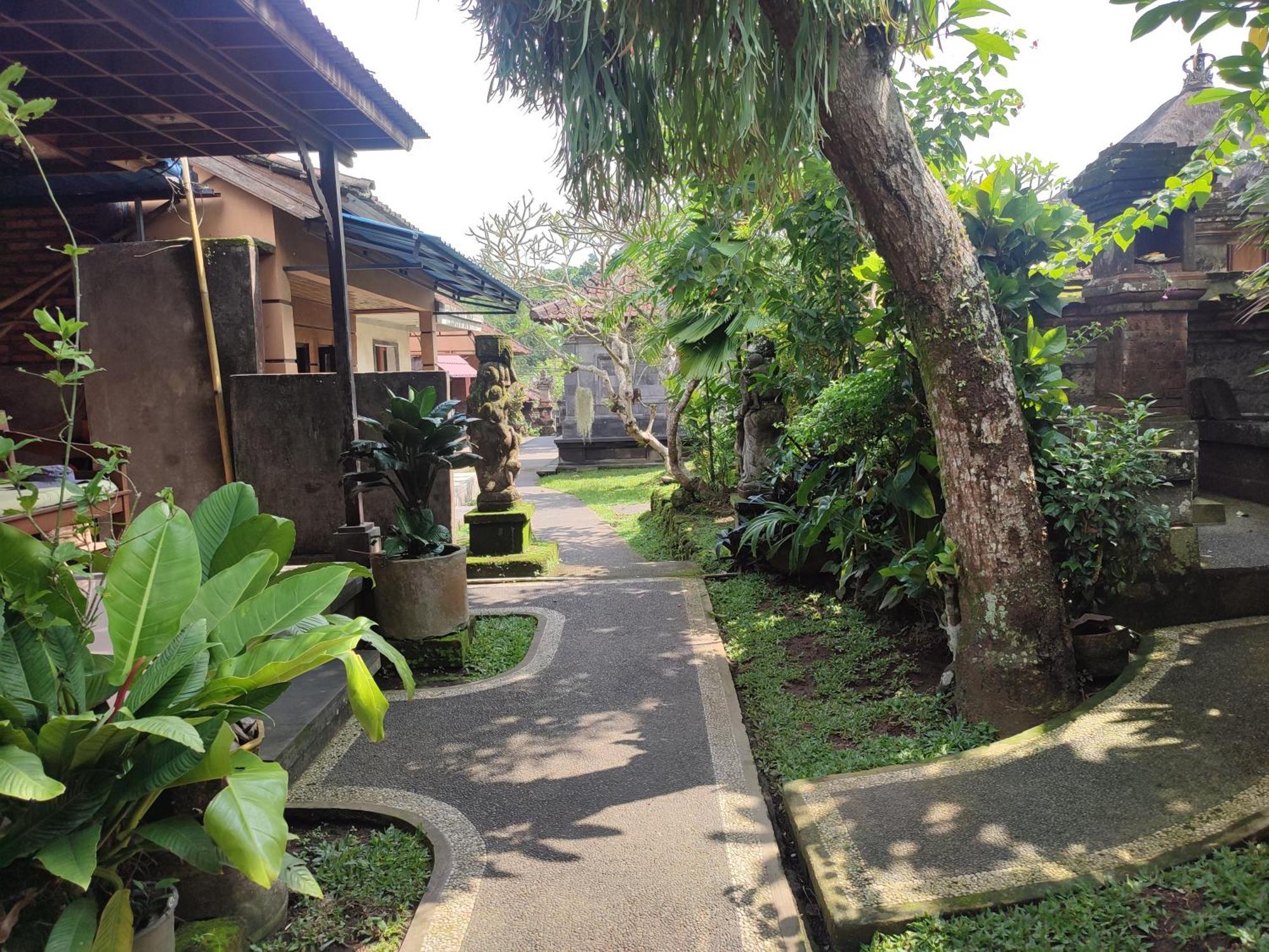 Bhuana Shanti Homestay Ubud Pokoj fotografie
